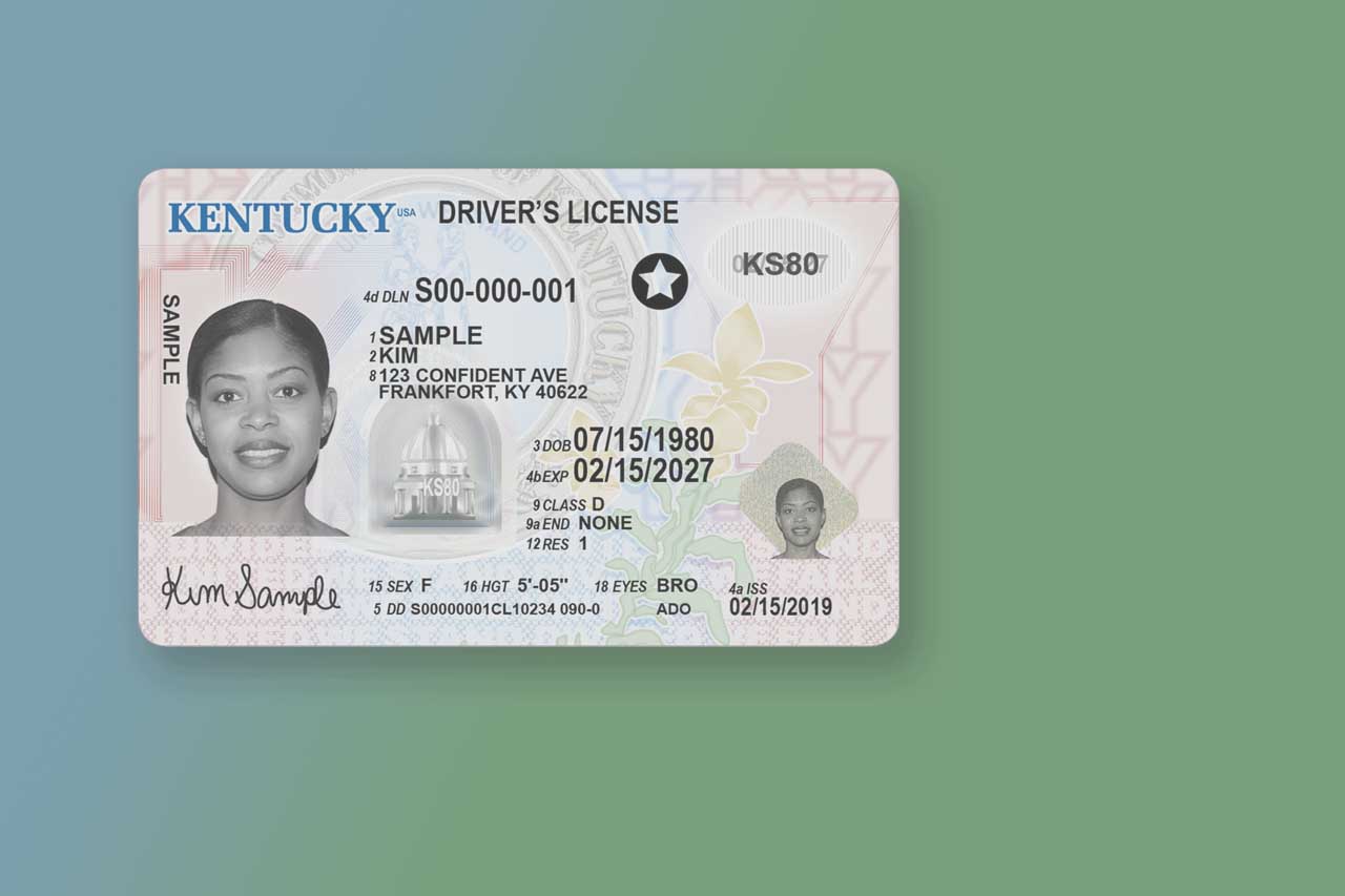 Kentucky drivers license renewal